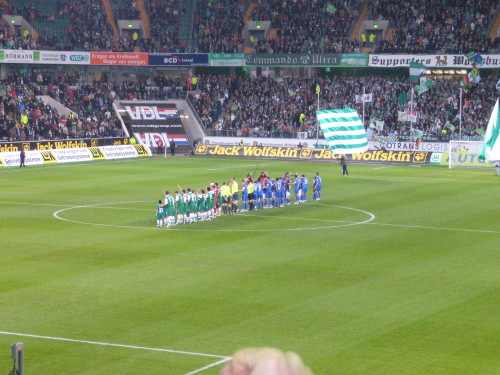 VfL Wolfsburg - VfL Bochum - photo